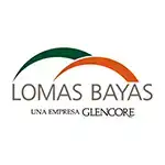 Lomas Bayas